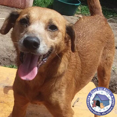 img_testimonial2 img_testimonial2